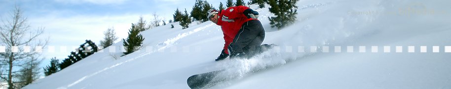 Skibus - Scibus